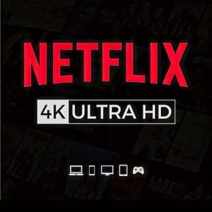Netflix 1 Month Private Profile